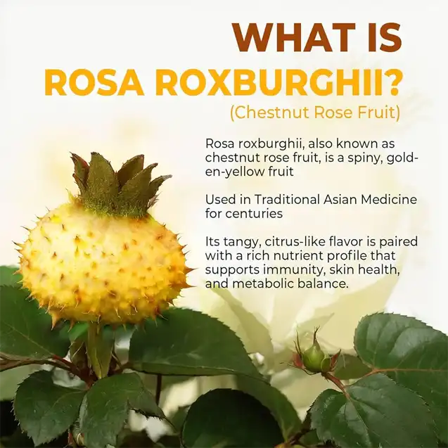 Rosa Roxburghii Extract: A Functional Ingredient Guide
